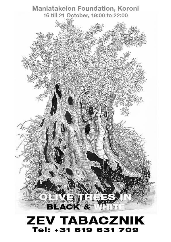 ΕΚΘΕΣΗ ΖΩΓΡΑΦΙΚΗΣ «OLIVES TREES IN BLACK & WHITE» ΤΟΥ ZEV TABACZNIK ΣΤΟ ΜΑΝΙΑΤΑΚΕΙΟΝ ΙΔΡΥΜΑ ΣΤΗΝ ΚΟΡΩΝΗ