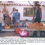 Διάφορες στιγμές: Το πάτημα των σταφυλιών στο κτήμα Μανιατάκη
